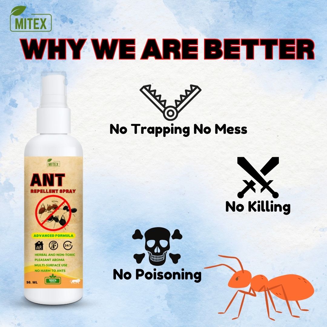 Ant Repellent Spray - BUY 1 GET 2 FREE