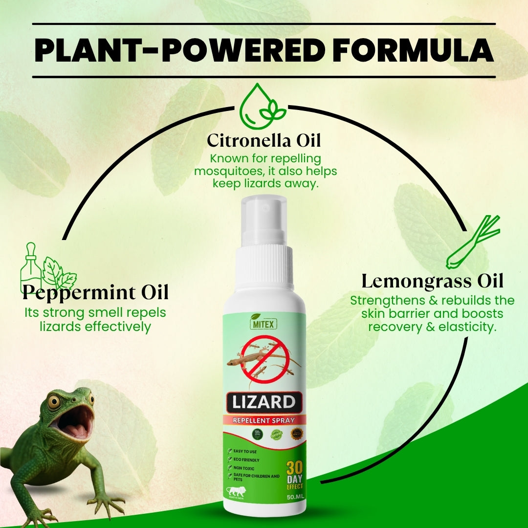 Lizard Repellent Spray - Protect your home from Pest, mite & insects